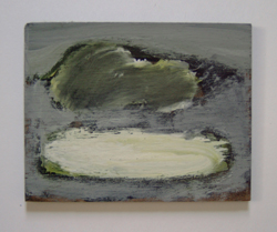 medion digital camera